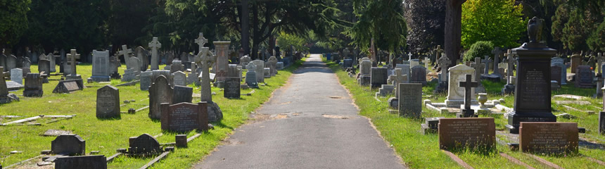 The Ideal Death Show